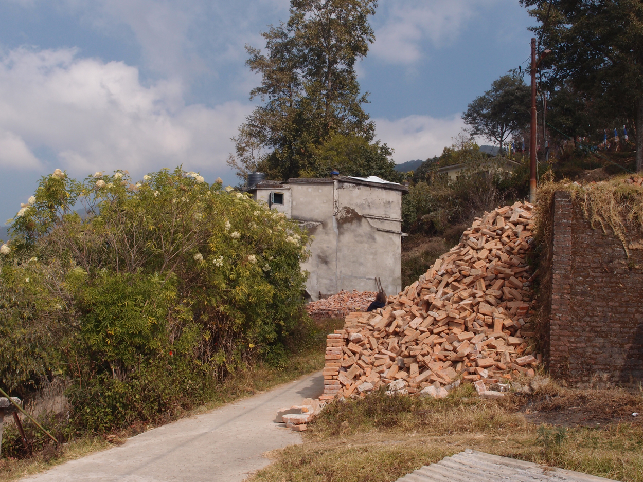 2018-01-16 12 Uhr - Im Shivapuri Nagarjun National Park (Nagi Gumba) (Foto) 